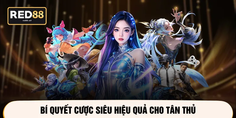 Bí quyết cược siêu hiệu quả cho tân thủ