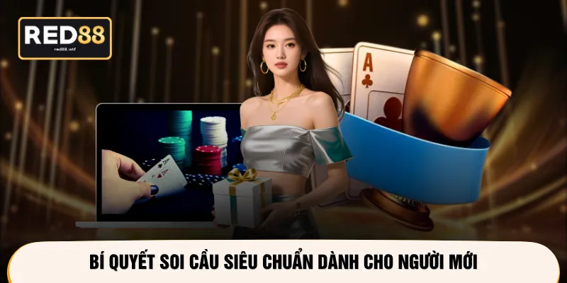 Bí quyết soi cầu siêu chuẩn dành cho người mới