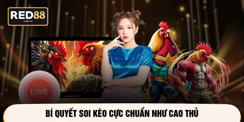 Bí quyết soi kèo cực chuẩn như cao thủ