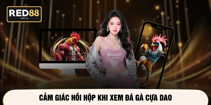 Cảm giác hồi hộp khi xem đá gà cựa dao