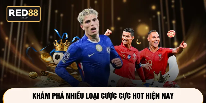 Khám phá nhiều loại cược cực hot hiện nay