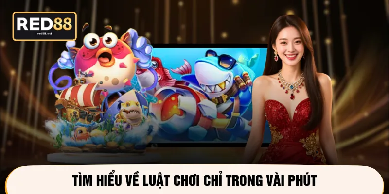 Tìm hiểu về luật chơi chỉ trong vài phút