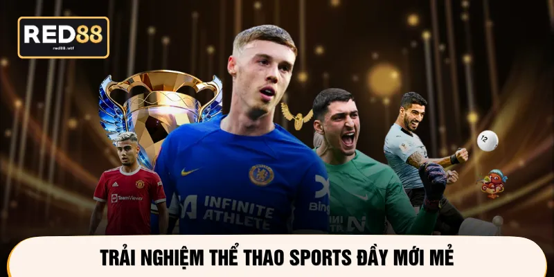 Trải nghiệm thể thao sports đầy mới mẻ